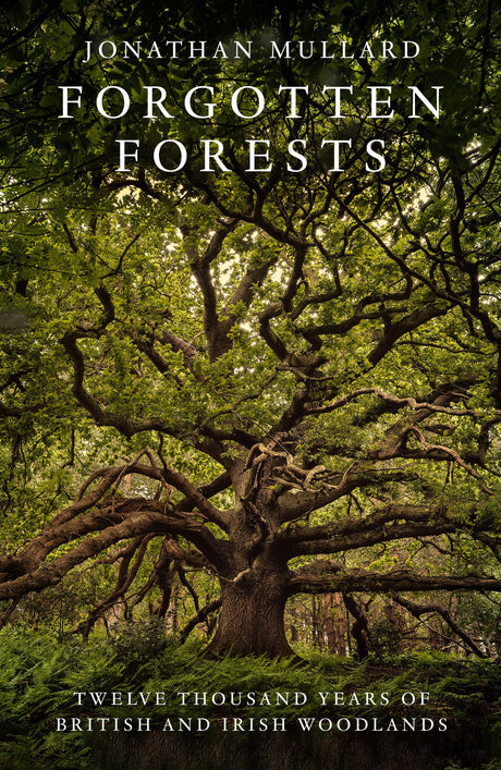 Forgotten Forests