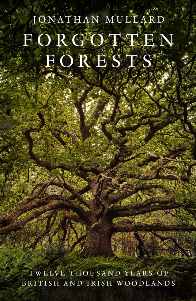 Forgotten Forests