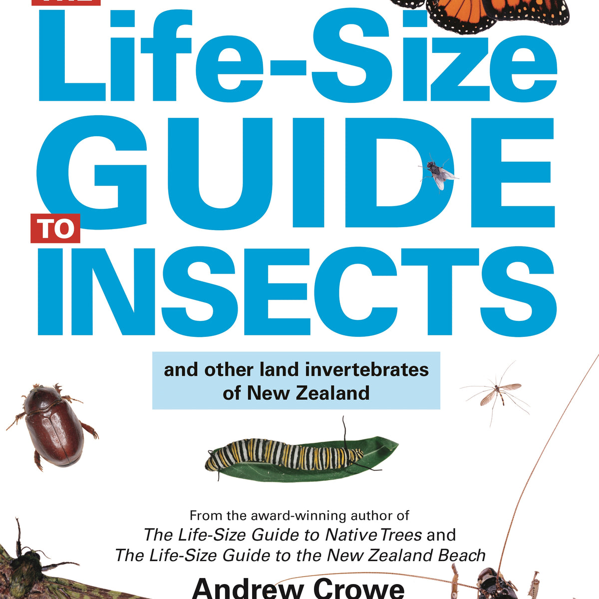 The Life-Size Guide to Insects by Andrew Crowe – Book Hero