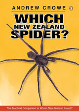 Which New Zealand Spider?