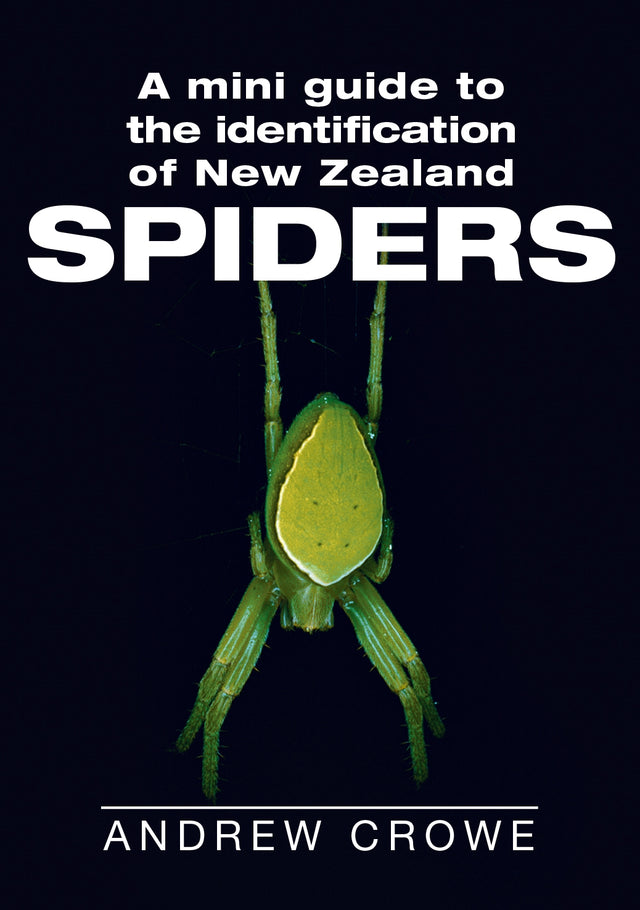 A Mini Guide to the Identification of New Zealand Spiders