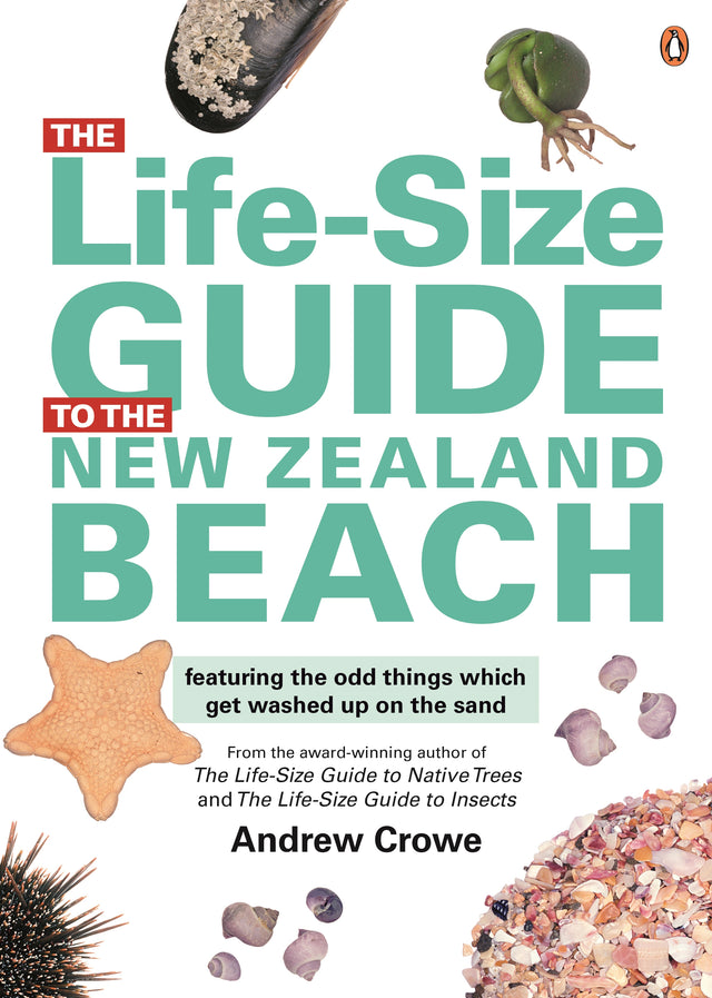 The Life-Size Guide to the New Zealand Beach