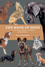 The Book of Dogs