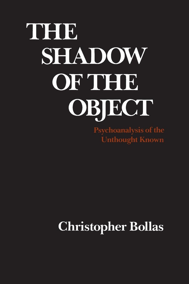The Shadow of the Object