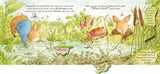 Peter Rabbit: The Great Butterfly Hunt