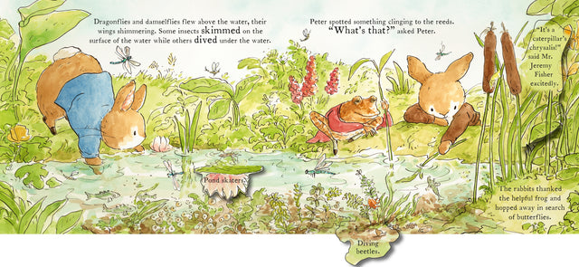 Peter Rabbit: The Great Butterfly Hunt