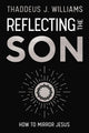 Reflecting the Son