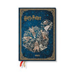 2027 Legends of Hogwarts Diary (Harry Potter Collection) Midi 12-Month Hardcover (Elastic Band Closure) Vertical