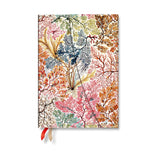 2027 Anemone (William Kilburn) Midi 12-Month Hardcover Dayplanner (Wrap Closure) Verso