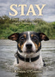 Stay