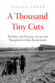 A Thousand Tiny Cuts
