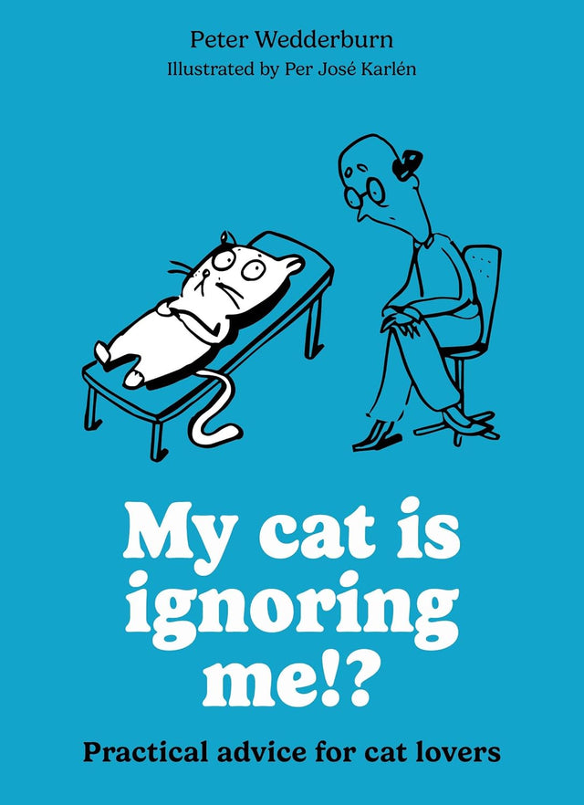 My cat is ignoring me!?