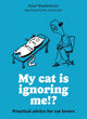 My cat is ignoring me!?