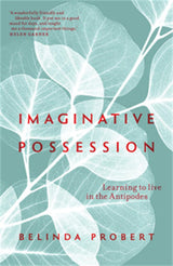 Imaginative Possession