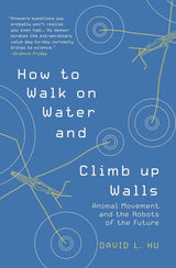 How to Walk on Water and Climb up Walls