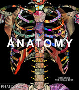 Anatomy