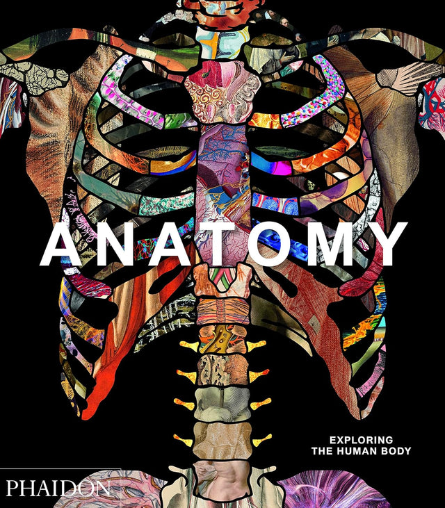 Anatomy