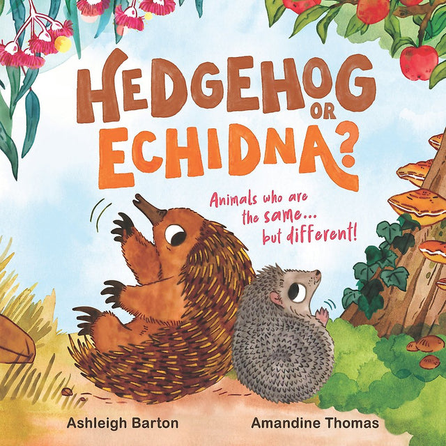Hedgehog or Echidna?