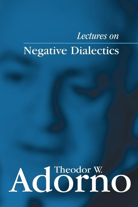 Lectures on Negative Dialectics