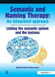 Semantic & Naming Therapy: An Integrated Approach