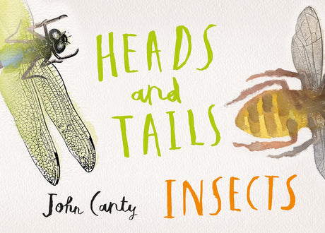Heads and Tails: Insects