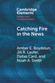 Catching Fire in the News