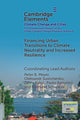 Financing Urban Transitions to Climate Neutrality and Increased Resilience in Cities