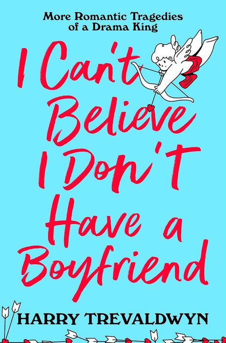 I Can't Believe I Don't Have a Boyfriend