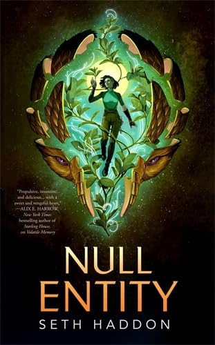 Null Entity