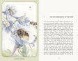 The Life of the Bee