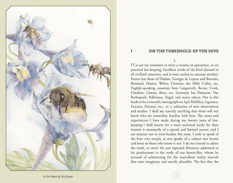 The Life of the Bee