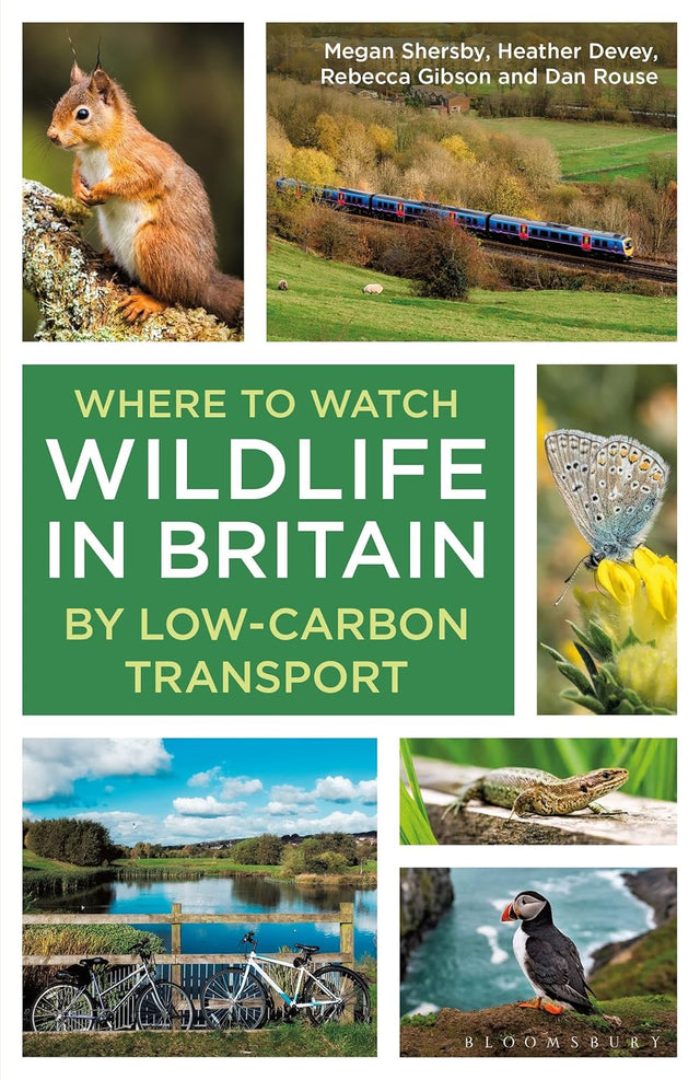 Where to Watch Wildlife in Britain