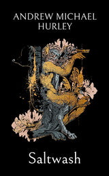 Saltwash