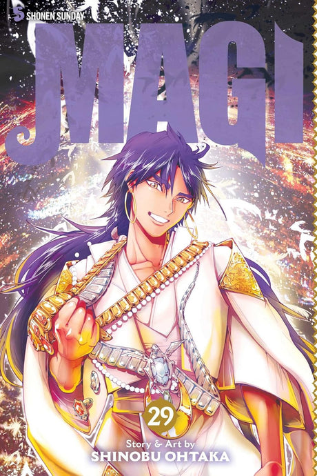 Magi: The Labyrinth of Magic, Vol. 29