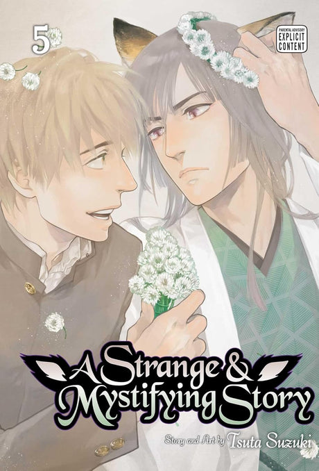 Strange & Mystifying Story, Vol. 5