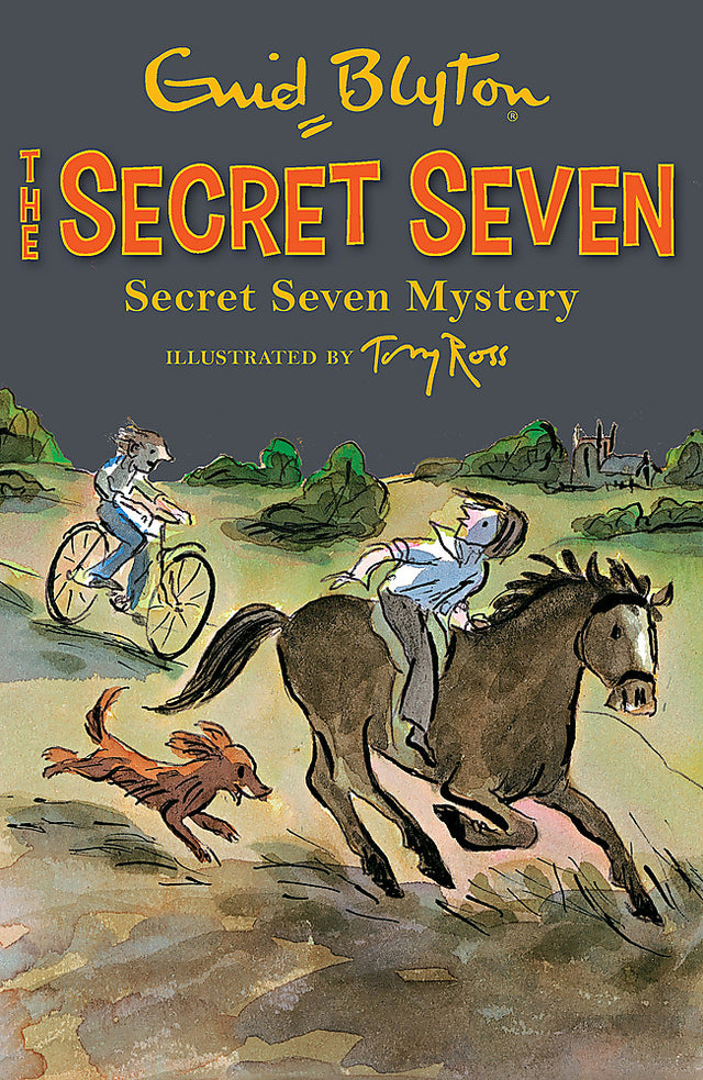 Secret Seven: Secret Seven Mystery