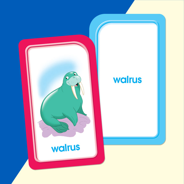 School Zone Flash Cards Picture Words