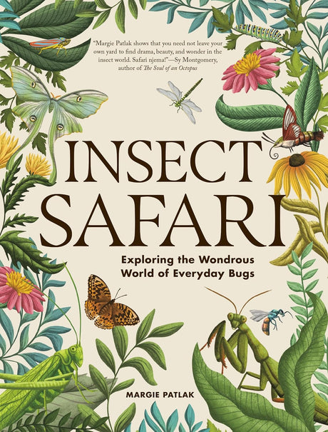 Insect Safari