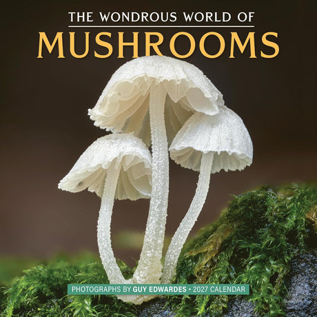 The Wondrous World of Mushrooms Wall Calendar 2027