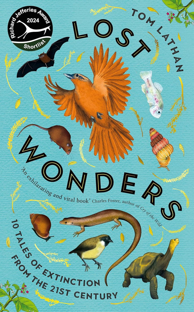 Lost Wonders