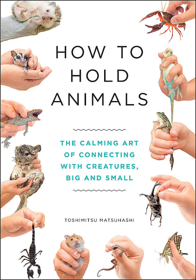 How to Hold Animals