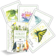 An Invitation to Forest Bathing