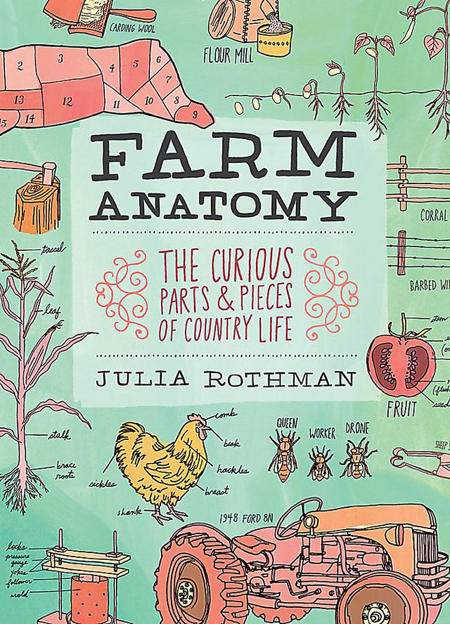 Farm Anatomy