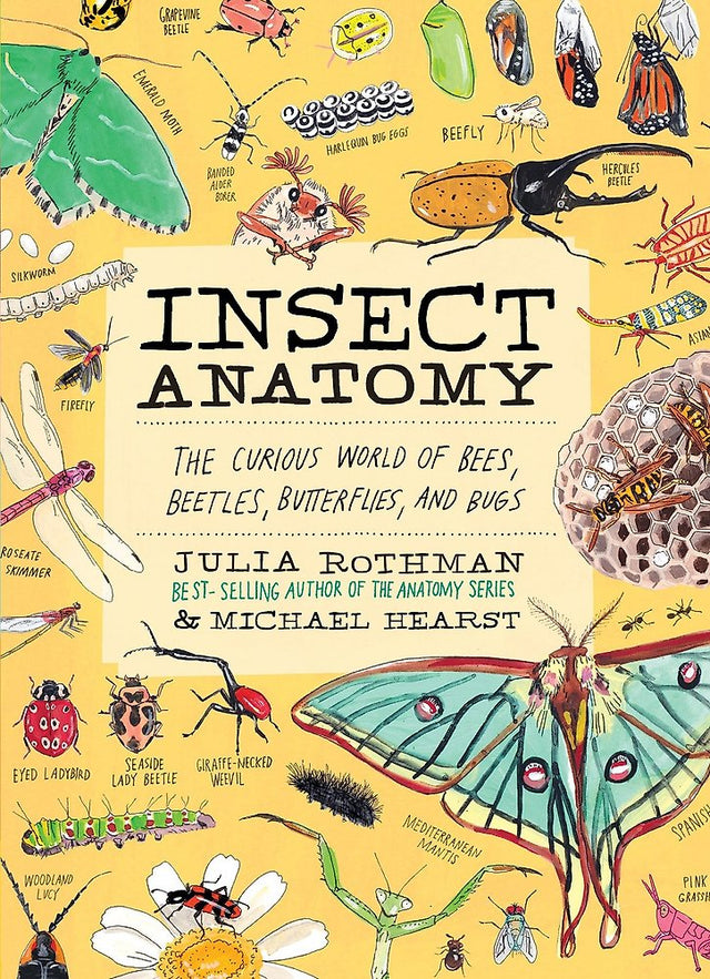 Insect Anatomy