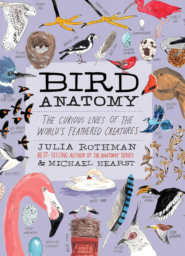 Bird Anatomy