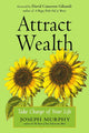 Attract Wealth