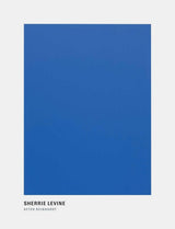 Sherrie Levine: After Reinhardt