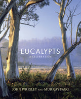 Eucalypts