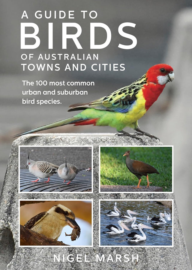 A Guide to Birds of Australian Towns and CIties