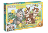 Disney Bunnies: Storybook and Jigsaw Set (100 Pieces)